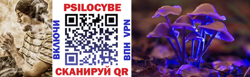 дарнет шоп  Игарка  Галлюциногенные грибы MAGIC MUSHROOMS 